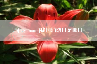 安吉我国消防日是哪日