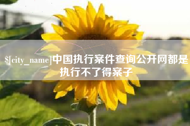 安吉中国执行案件查询公开网都是执行不了得案子