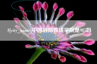 安吉中国消防救援学院是985吗