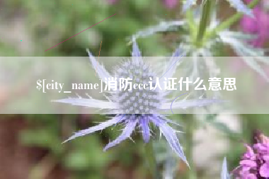 安吉消防ccc认证什么意思