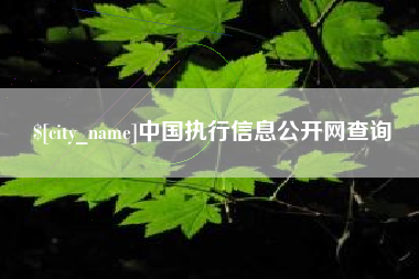 安吉中国执行信息公开网查询