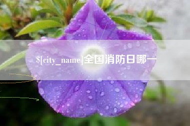安吉全国消防日哪一