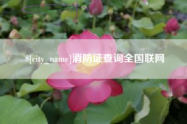 安吉消防证查询全国联网