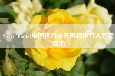 安吉中国执行公开网被执行人名单查询