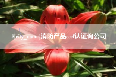 安吉消防产品cccf认证询公司