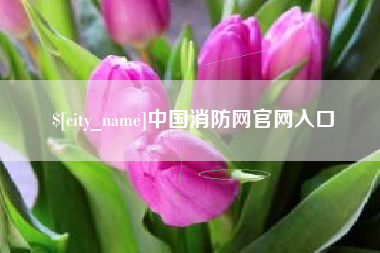 安吉中国消防网官网入口