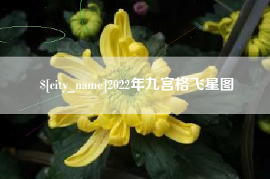 安吉2022年九宫格飞星图