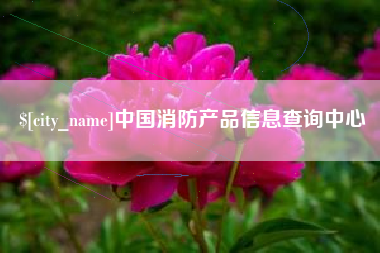 安吉中国消防产品信息查询中心