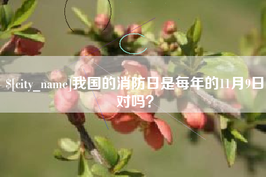安吉我国的消防日是每年的11月9日对吗？