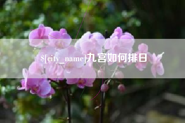 安吉九宫如何排日