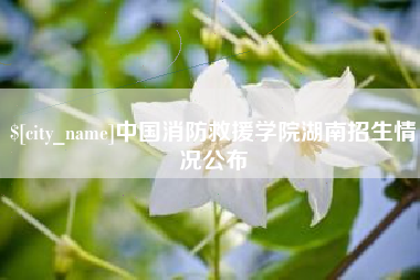 安吉中国消防救援学院湖南招生情况公布