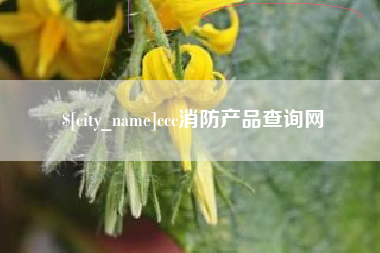 安吉ccc消防产品查询网
