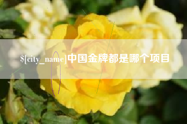 安吉中国金牌都是哪个项目