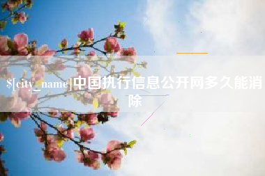 安吉中国执行信息公开网多久能消除