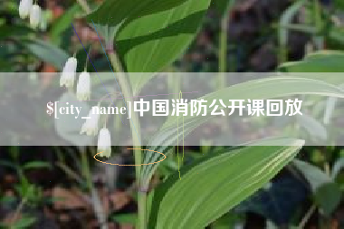 安吉中国消防公开课回放