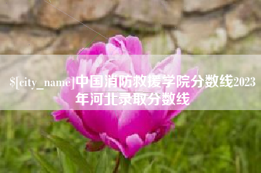 安吉中国消防救援学院分数线2023年河北录取分数线