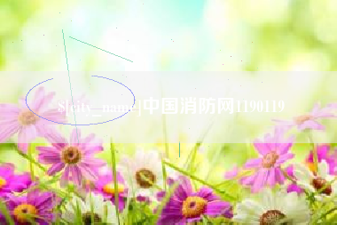 安吉中国消防网1190119