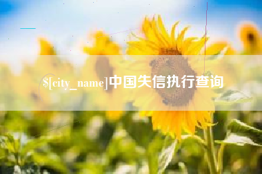 安吉中国失信执行查询