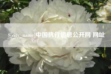 安吉中国执行信息公开网 网址