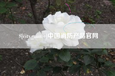 安吉中国消防产品官网