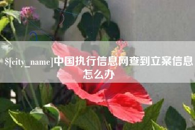 安吉中国执行信息网查到立案信息怎么办