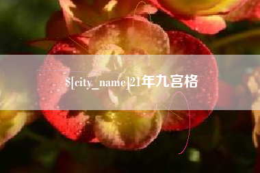 安吉21年九宫格