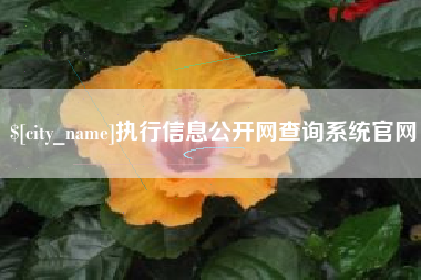 安吉执行信息公开网查询系统官网