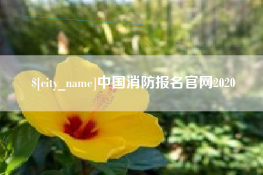安吉中国消防报名官网2020