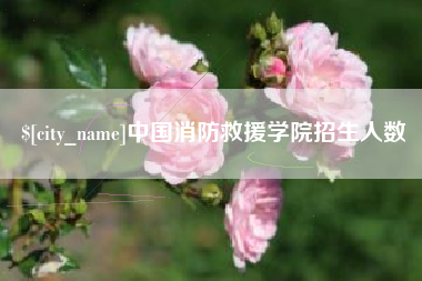 安吉中国消防救援学院招生人数