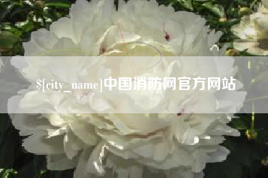 安吉中国消防网官方网站