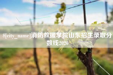 安吉消防救援学院山东招生录取分数线2020