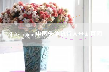 安吉中国失信执行人查询官网