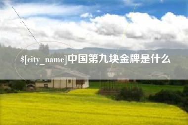 安吉中国第九块金牌是什么