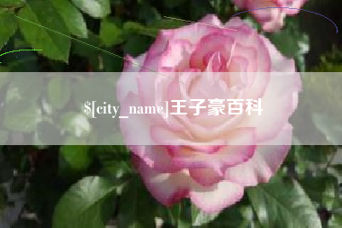 安吉王子豪百科