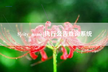 安吉执行公告查询系统