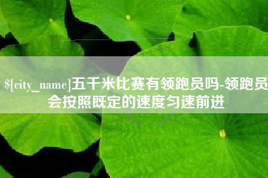 安吉五千米比赛有领跑员吗-领跑员会按照既定的速度匀速前进
