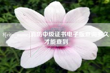 安吉消防中级证书电子版查询多久才能查到
