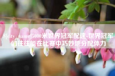 安吉5000米世界冠军配速-世界冠军们往往能在比赛中巧妙地分配体力