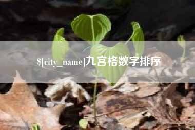 安吉九宫格数字排序