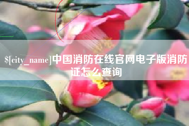 安吉中国消防在线官网电子版消防证怎么查询