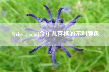 安吉今年九宫格的不利颜色