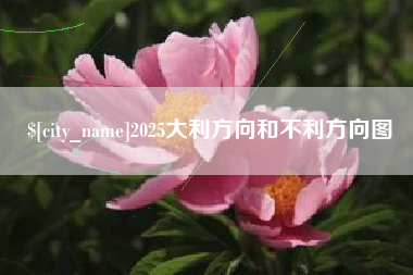 安吉2025大利方向和不利方向图