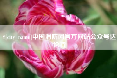 安吉中国消防网官方网站公众号达伦特