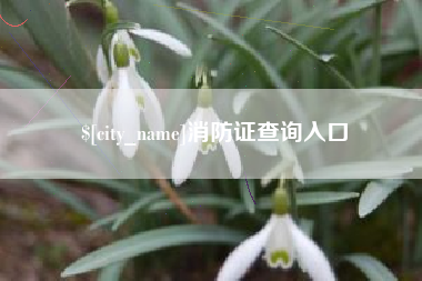 安吉消防证查询入口