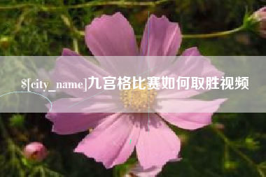 安吉九宫格比赛如何取胜视频