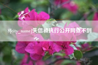 安吉失信被执行公开网查不到