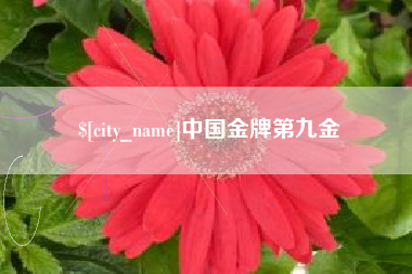 安吉中国金牌第九金