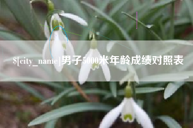安吉男子5000米年龄成绩对照表