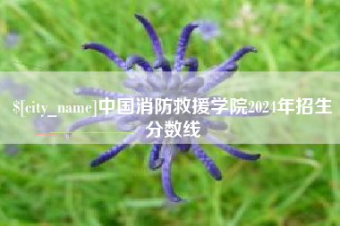 安吉中国消防救援学院2024年招生分数线