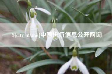 安吉中国执行信息公开网询